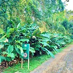 Prumirim Camping & Chales
