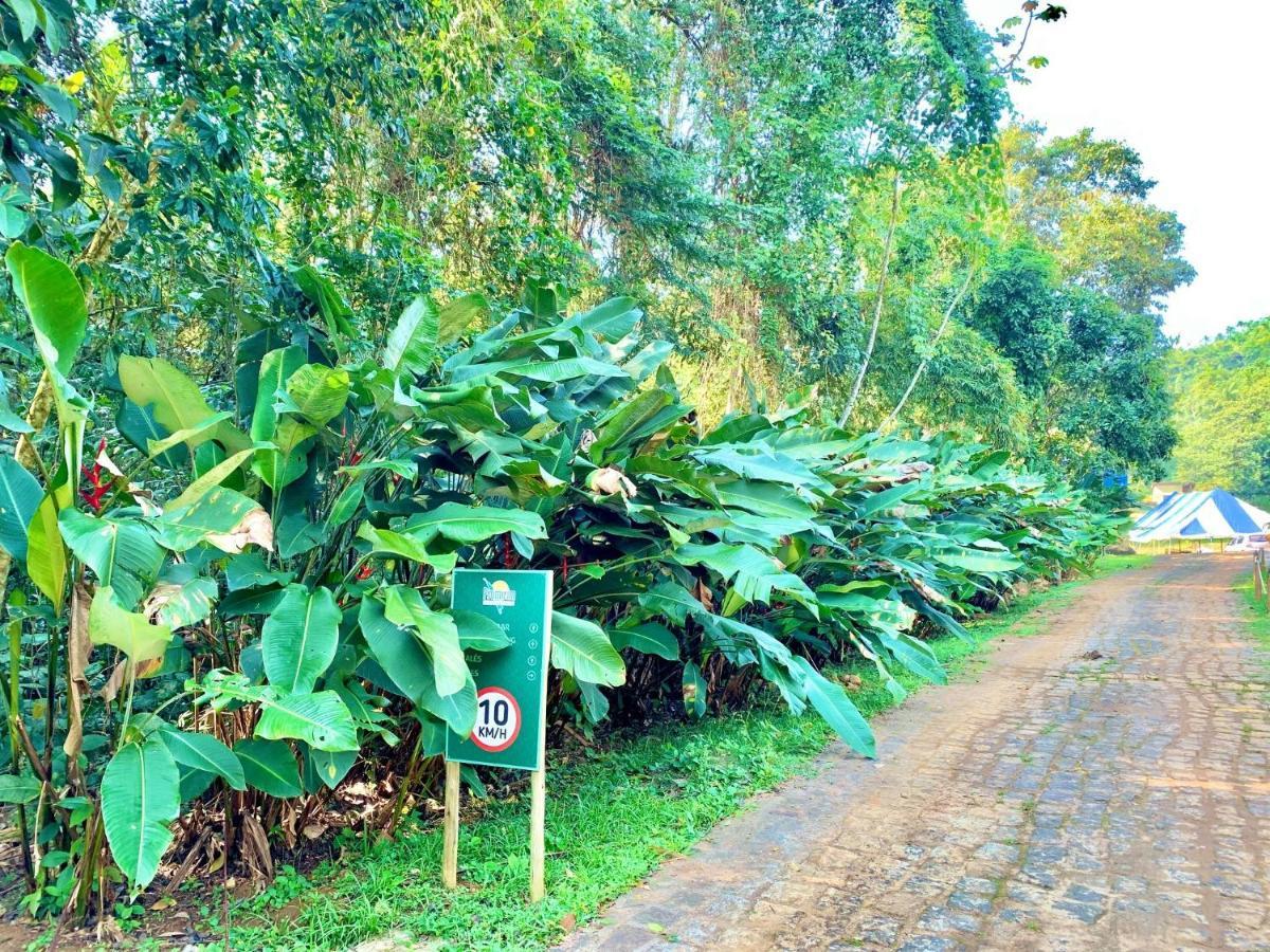 Prumirim Camping & Casa de hóspedes *